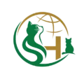 SHUO HENG